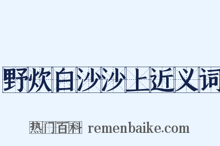 野炊白沙沙上近义词是什么意思的图片